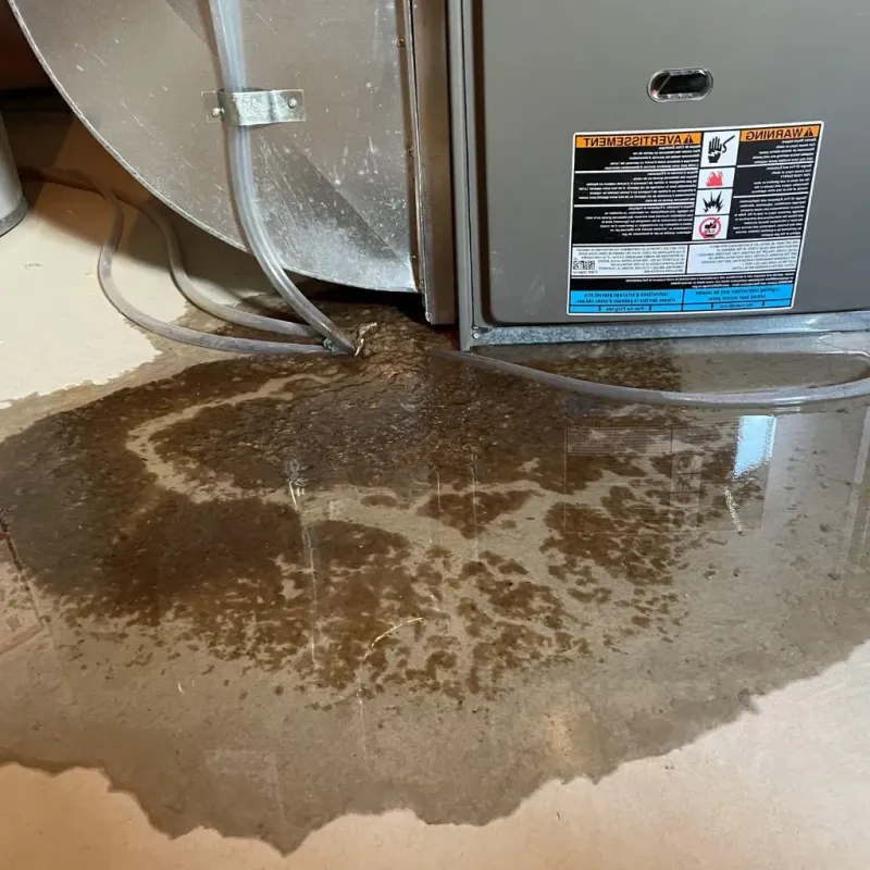 Pipe Burst and Leak Restoration in Elmwood Park, IL